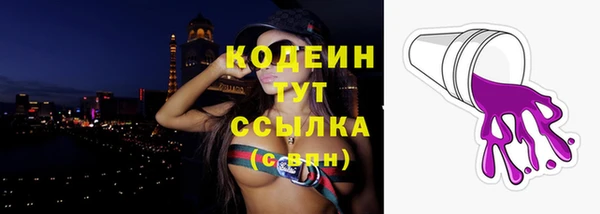 индика Лиски