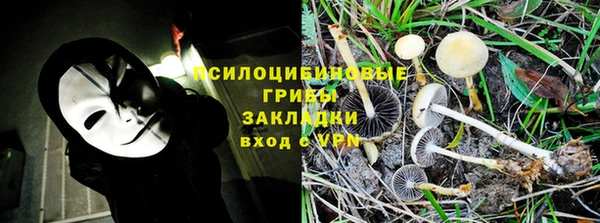 индика Лиски