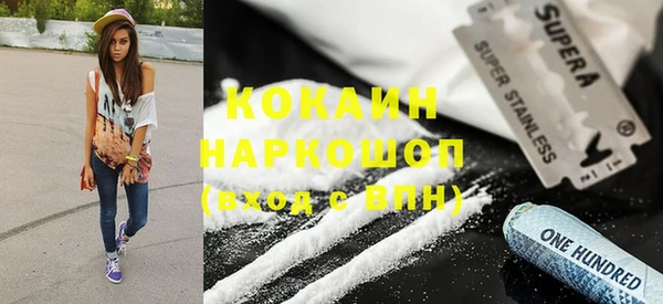 индика Лиски