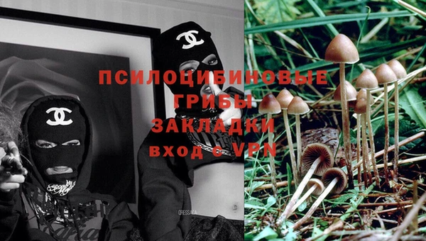 индика Лиски