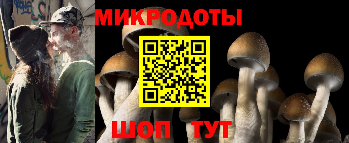Галлюциногенные грибы прущие грибы  Псилоцибиновые грибы Psilocybe  Людиново  Вход с VPN 